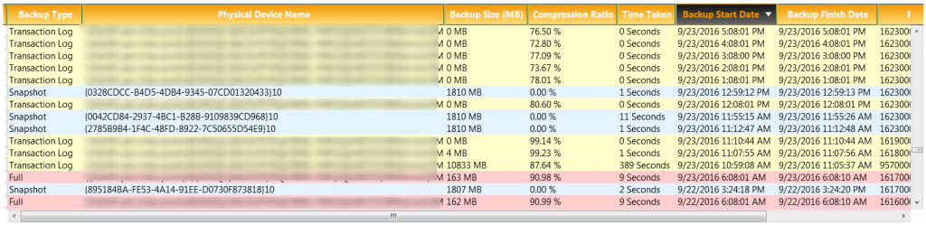 new snapshot backup type