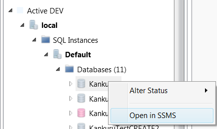 Open In SSMS
